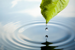 Regenwasser